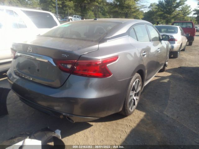 Photo 3 VIN: 1N4AA6AP4GC412260 - NISSAN MAXIMA 