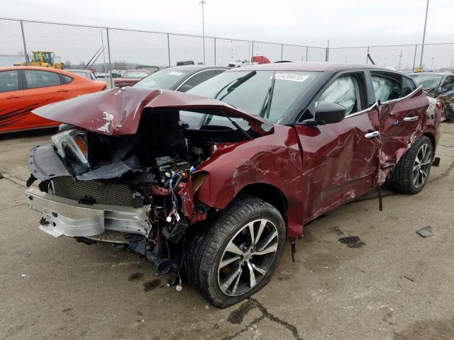 Photo 1 VIN: 1N4AA6AP4GC416146 - NISSAN MAXIMA 3.5 