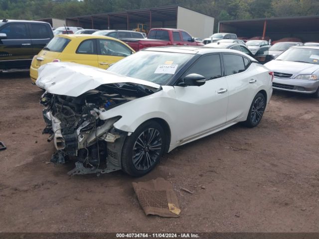 Photo 1 VIN: 1N4AA6AP4GC416826 - NISSAN MAXIMA 