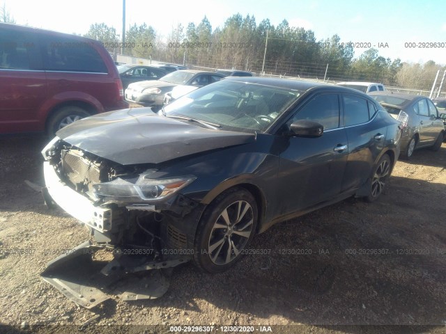 Photo 1 VIN: 1N4AA6AP4GC417653 - NISSAN MAXIMA 