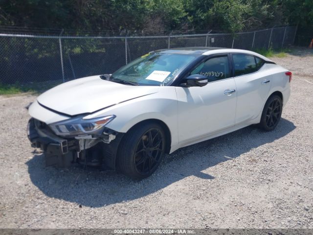 Photo 1 VIN: 1N4AA6AP4GC423596 - NISSAN MAXIMA 