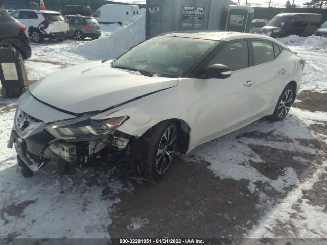 Photo 1 VIN: 1N4AA6AP4GC427261 - NISSAN MAXIMA 