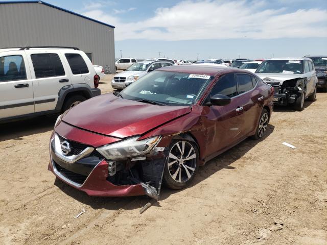 Photo 1 VIN: 1N4AA6AP4GC432265 - NISSAN MAXIMA 3.5 