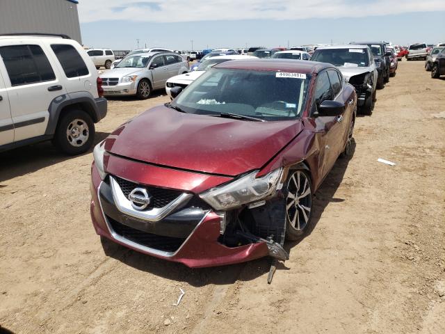 Photo 8 VIN: 1N4AA6AP4GC432265 - NISSAN MAXIMA 3.5 