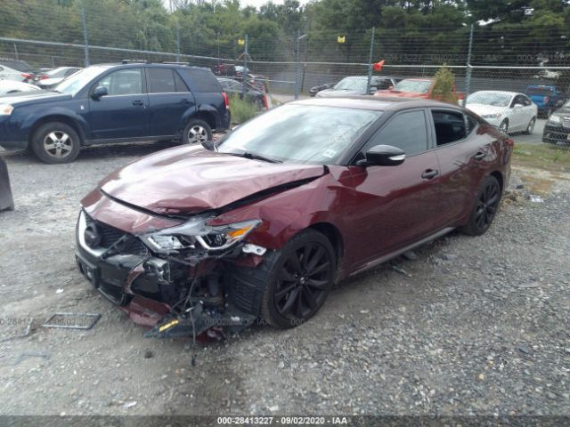 Photo 1 VIN: 1N4AA6AP4GC433349 - NISSAN MAXIMA 