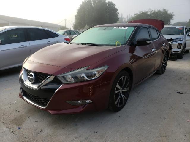 Photo 1 VIN: 1N4AA6AP4GC441726 - NISSAN MAXIMA 3.5 