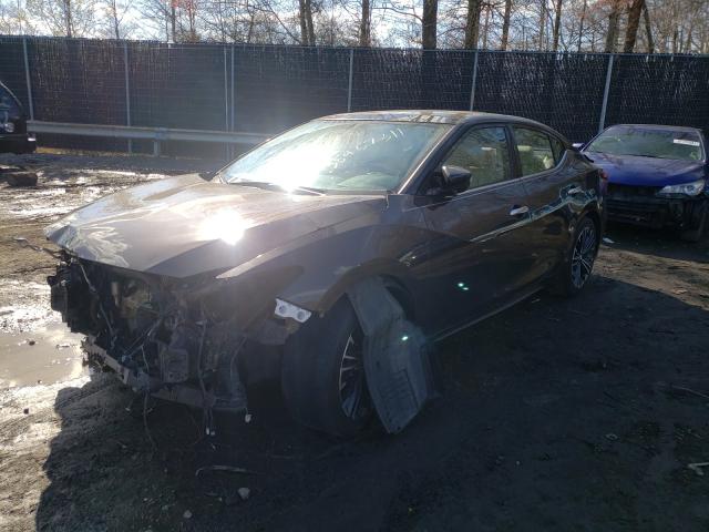 Photo 1 VIN: 1N4AA6AP4GC447025 - NISSAN MAXIMA 3.5 