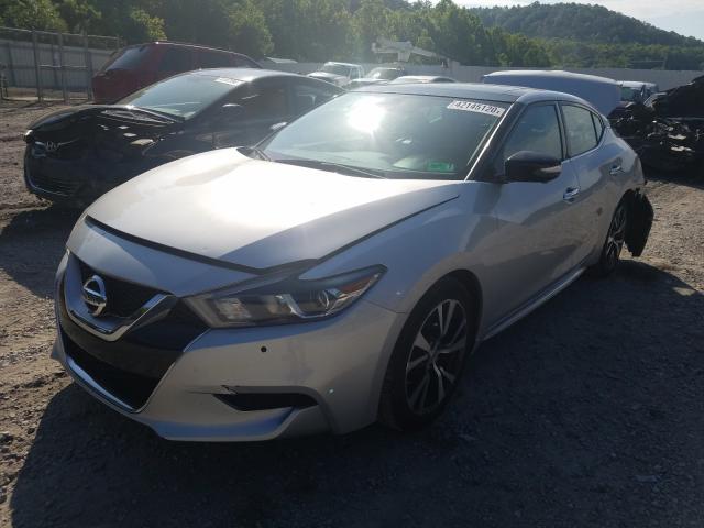 Photo 1 VIN: 1N4AA6AP4GC449583 - NISSAN MAXIMA 3.5 