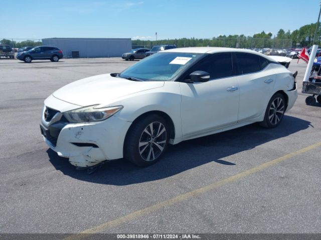 Photo 1 VIN: 1N4AA6AP4GC901595 - NISSAN MAXIMA 