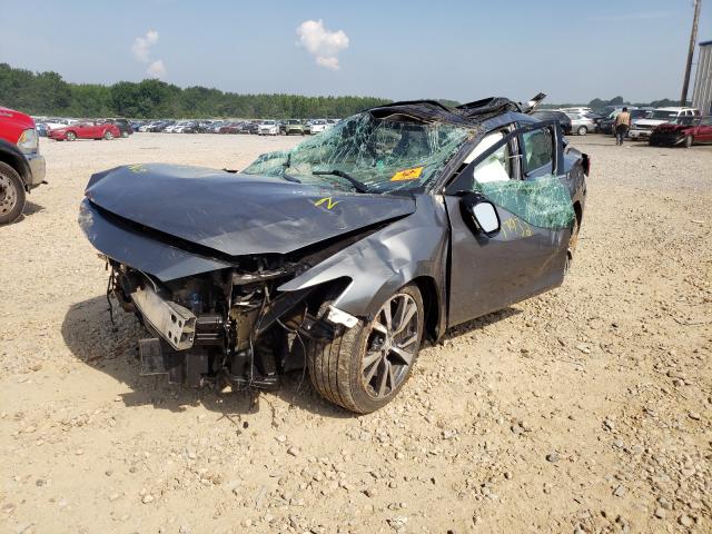 Photo 1 VIN: 1N4AA6AP4HC360646 - NISSAN MAXIMA 3.5 