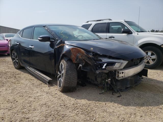 Photo 0 VIN: 1N4AA6AP4HC364244 - NISSAN MAXIMA 3.5 