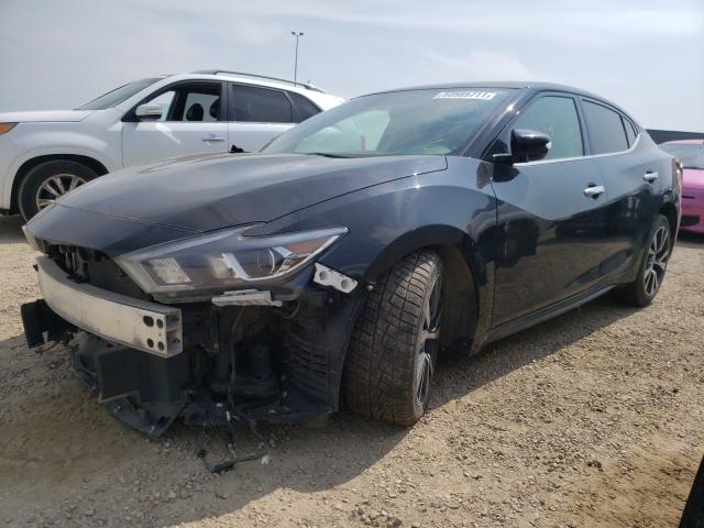 Photo 1 VIN: 1N4AA6AP4HC364244 - NISSAN MAXIMA 3.5 