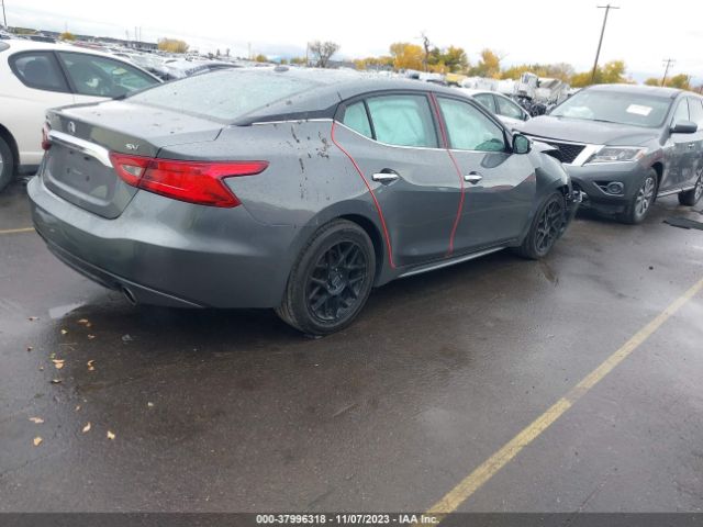 Photo 3 VIN: 1N4AA6AP4HC370156 - NISSAN MAXIMA 