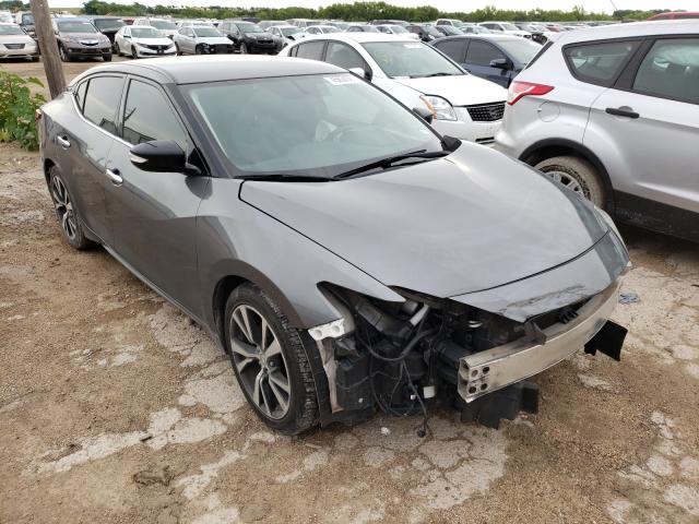 Photo 0 VIN: 1N4AA6AP4HC390200 - NISSAN MAXIMA 3.5 