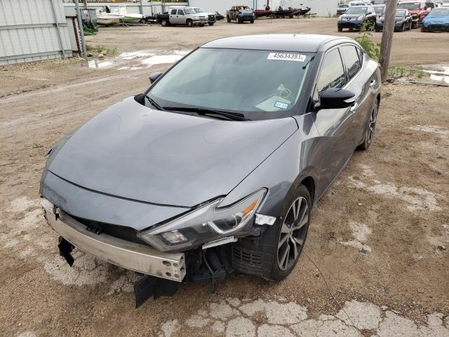 Photo 1 VIN: 1N4AA6AP4HC390200 - NISSAN MAXIMA 3.5 