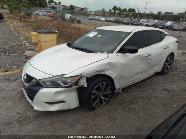 Photo 1 VIN: 1N4AA6AP4HC396272 - NISSAN MAXIMA 