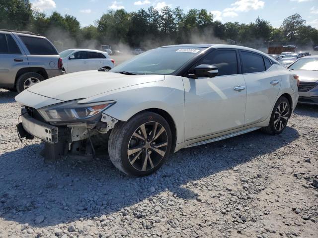 Photo 0 VIN: 1N4AA6AP4HC407402 - NISSAN MAXIMA 3.5 