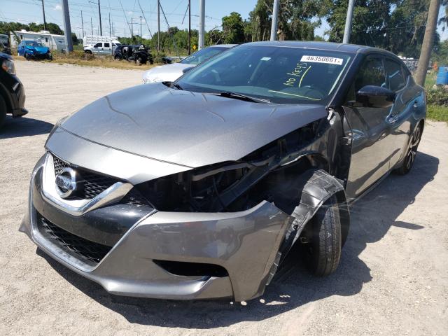 Photo 1 VIN: 1N4AA6AP4HC432073 - NISSAN MAXIMA 3.5 