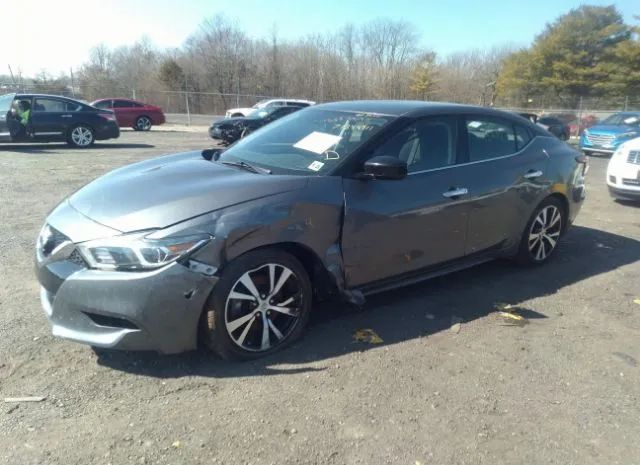 Photo 1 VIN: 1N4AA6AP4JC369918 - NISSAN MAXIMA 