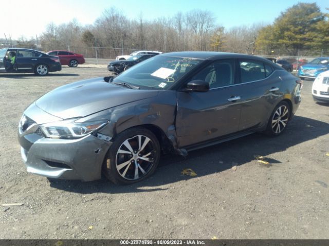 Photo 1 VIN: 1N4AA6AP4JC369918 - NISSAN MAXIMA 