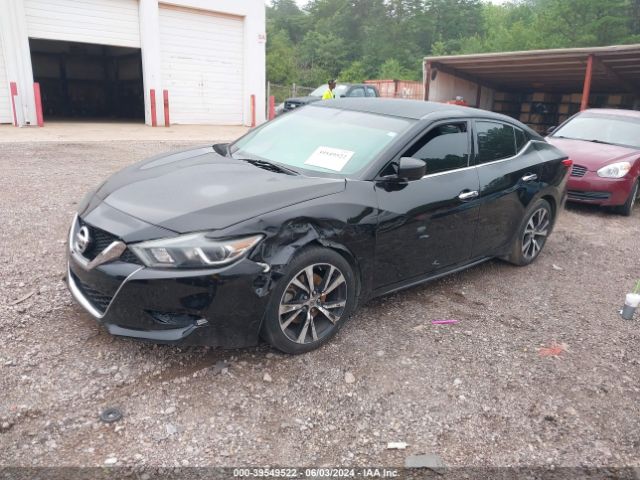 Photo 1 VIN: 1N4AA6AP4JC369949 - NISSAN MAXIMA 