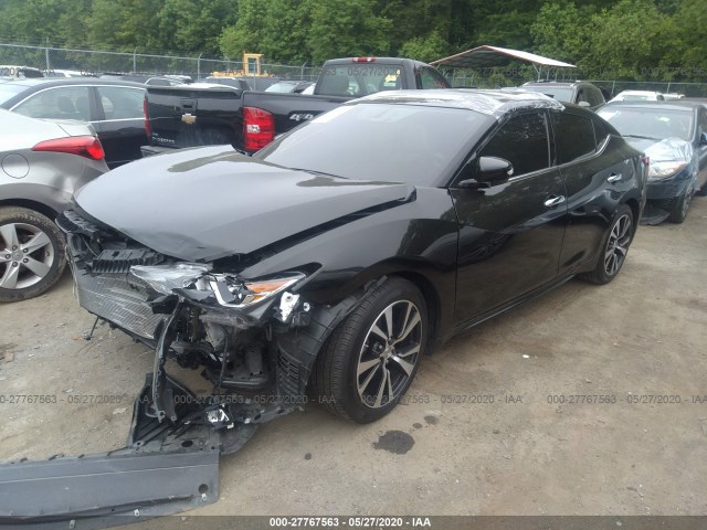 Photo 1 VIN: 1N4AA6AP4JC399985 - NISSAN MAXIMA 