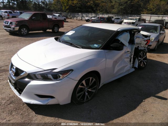 Photo 1 VIN: 1N4AA6AP4JC403548 - NISSAN MAXIMA 