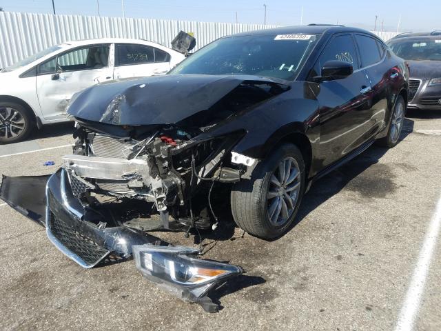 Photo 1 VIN: 1N4AA6AP4JC406885 - NISSAN MAXIMA 3.5 