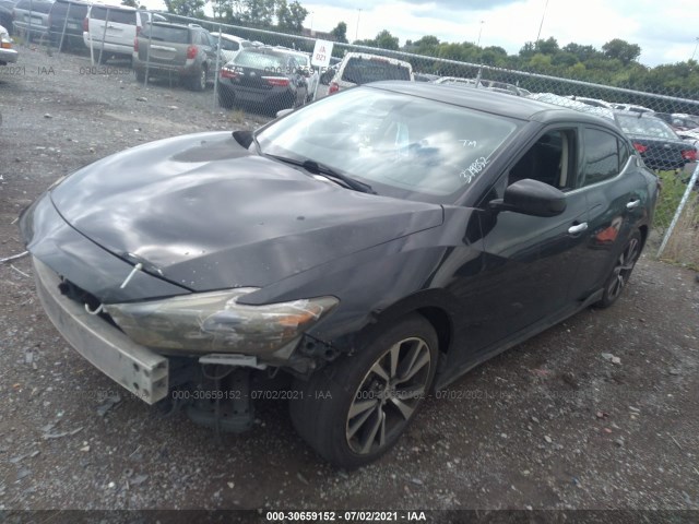 Photo 1 VIN: 1N4AA6AP5GC379852 - NISSAN MAXIMA 