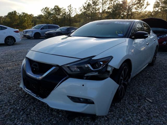 Photo 1 VIN: 1N4AA6AP5GC384971 - NISSAN MAXIMA 3.5 