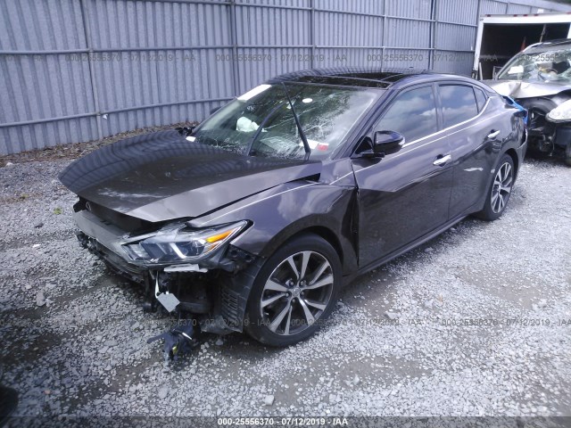 Photo 1 VIN: 1N4AA6AP5GC386087 - NISSAN MAXIMA 