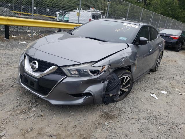 Photo 1 VIN: 1N4AA6AP5GC398210 - NISSAN MAXIMA 3.5 