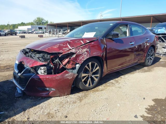 Photo 1 VIN: 1N4AA6AP5GC405656 - NISSAN MAXIMA 