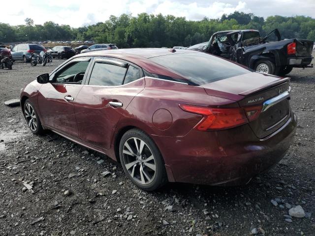 Photo 1 VIN: 1N4AA6AP5GC406631 - NISSAN MAXIMA 