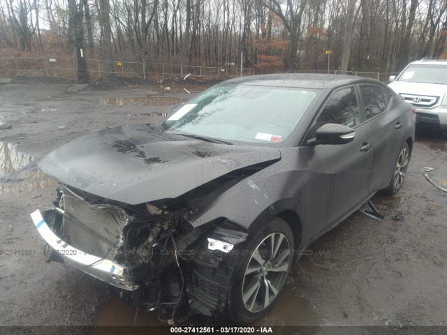 Photo 1 VIN: 1N4AA6AP5GC408234 - NISSAN MAXIMA 