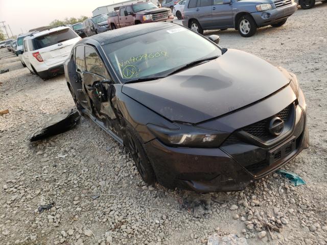 Photo 0 VIN: 1N4AA6AP5GC409609 - NISSAN MAXIMA 3.5 