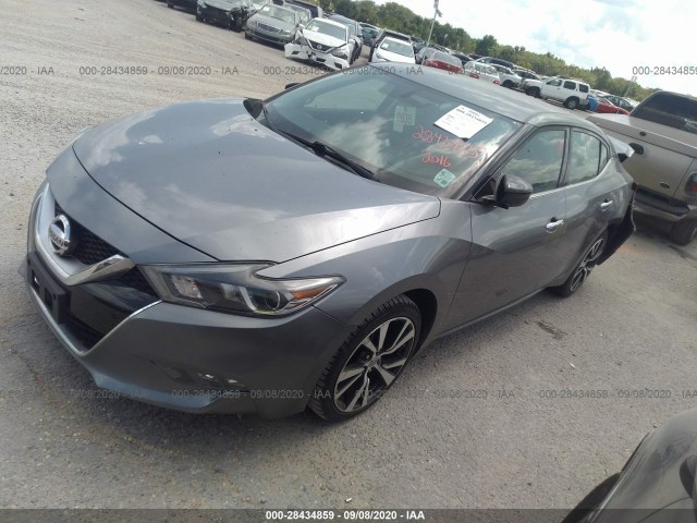 Photo 1 VIN: 1N4AA6AP5GC409948 - NISSAN MAXIMA 