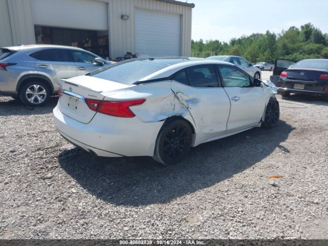 Photo 3 VIN: 1N4AA6AP5GC423512 - NISSAN MAXIMA 