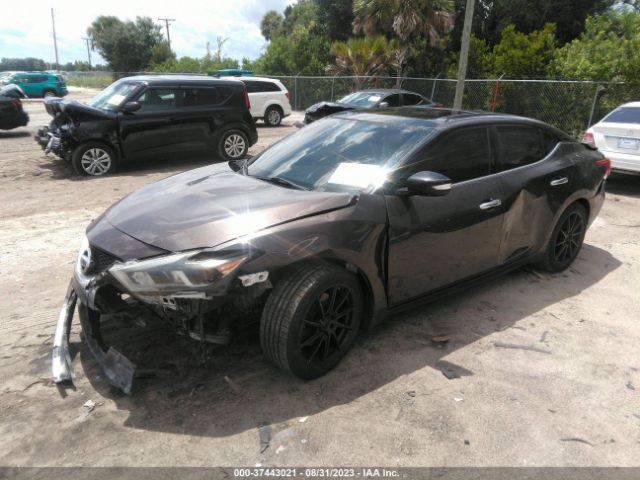 Photo 1 VIN: 1N4AA6AP5GC904733 - NISSAN MAXIMA 