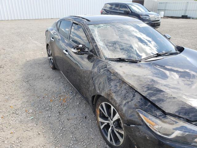 Photo 8 VIN: 1N4AA6AP5GC905090 - NISSAN MAXIMA 3.5 