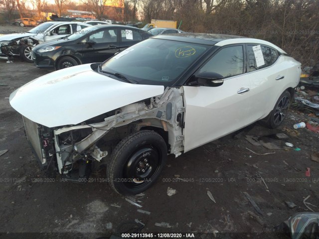 Photo 1 VIN: 1N4AA6AP5HC378069 - NISSAN MAXIMA 