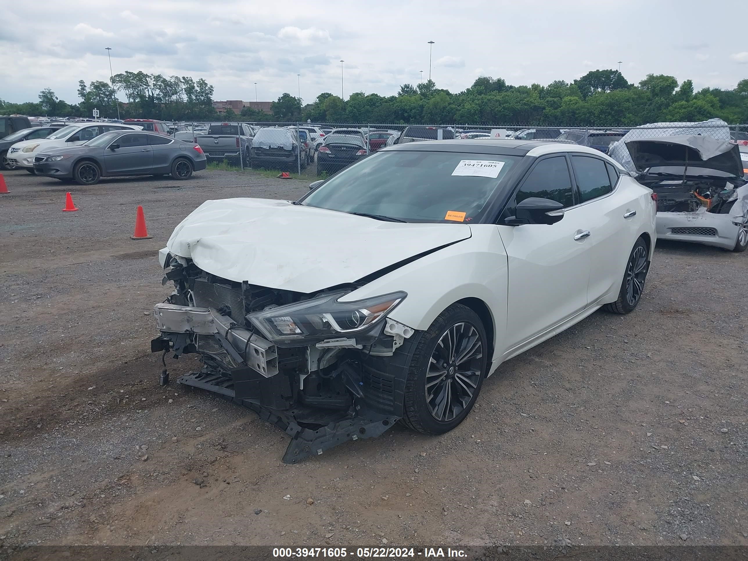 Photo 1 VIN: 1N4AA6AP5HC393185 - NISSAN MAXIMA 