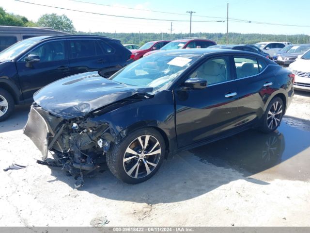 Photo 1 VIN: 1N4AA6AP5HC408672 - NISSAN MAXIMA 