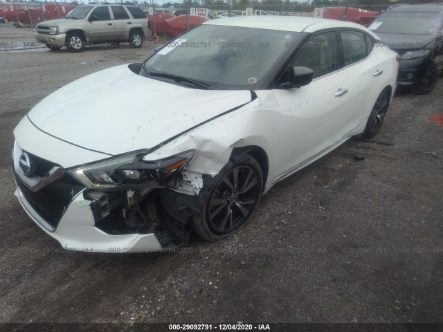 Photo 5 VIN: 1N4AA6AP5HC420742 - NISSAN MAXIMA 