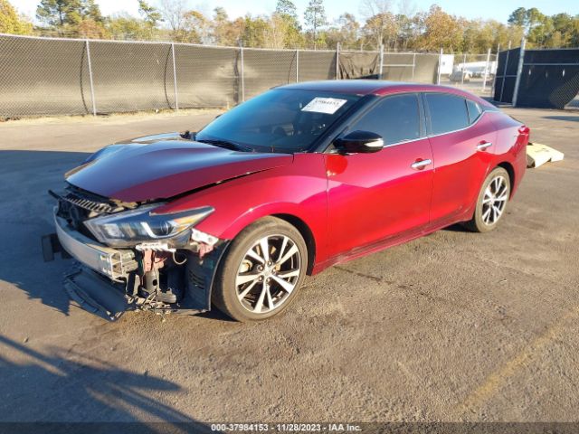 Photo 1 VIN: 1N4AA6AP5HC424600 - NISSAN MAXIMA 