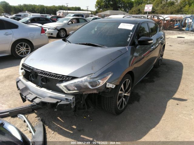 Photo 1 VIN: 1N4AA6AP5HC441462 - NISSAN MAXIMA 