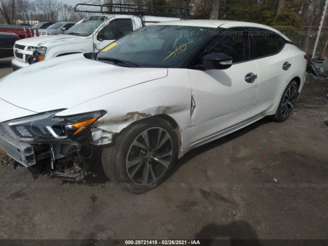 Photo 1 VIN: 1N4AA6AP5JC365831 - NISSAN MAXIMA 