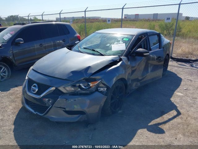 Photo 1 VIN: 1N4AA6AP5JC378305 - NISSAN MAXIMA 