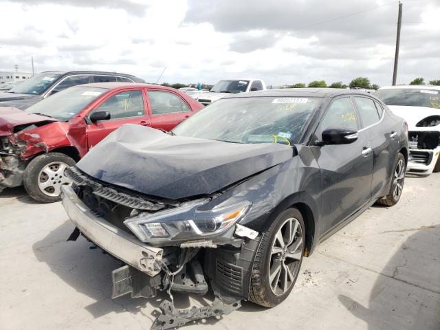 Photo 1 VIN: 1N4AA6AP5JC384010 - NISSAN MAXIMA 3.5 