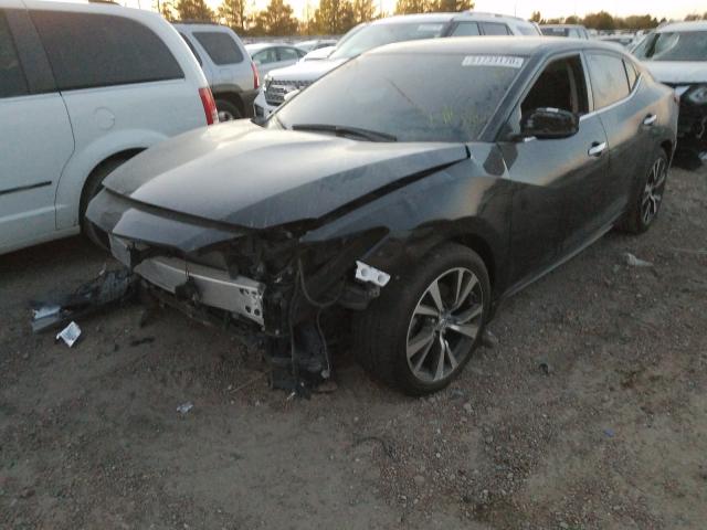 Photo 1 VIN: 1N4AA6AP5JC396433 - NISSAN MAXIMA 3.5 